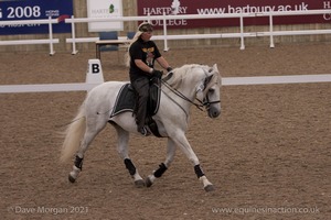 Lusitano Breed Society of Great Britain Show - Hartpury College - 27th June 2009